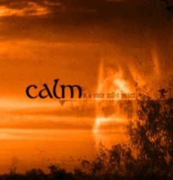 The Calm : In a Place Called Perfect